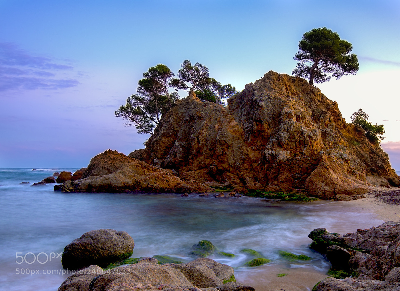 Nikon D610 sample photo. Cap roig photography