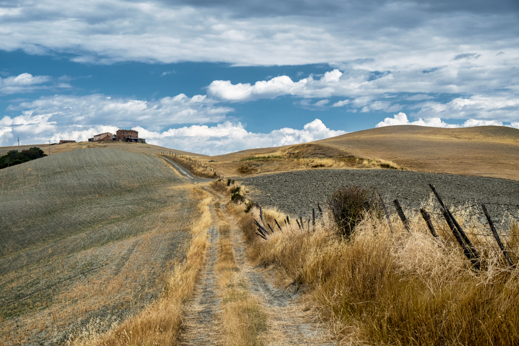 Tuscany: the road to Torre a Castello by Claudio G. Colombo on 500px.com