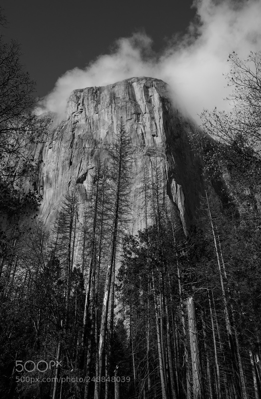Nikon D7100 sample photo. El capitan photography