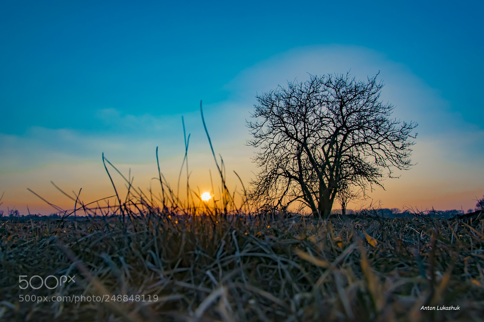 Nikon D5300 sample photo. Beautiful sanset photography