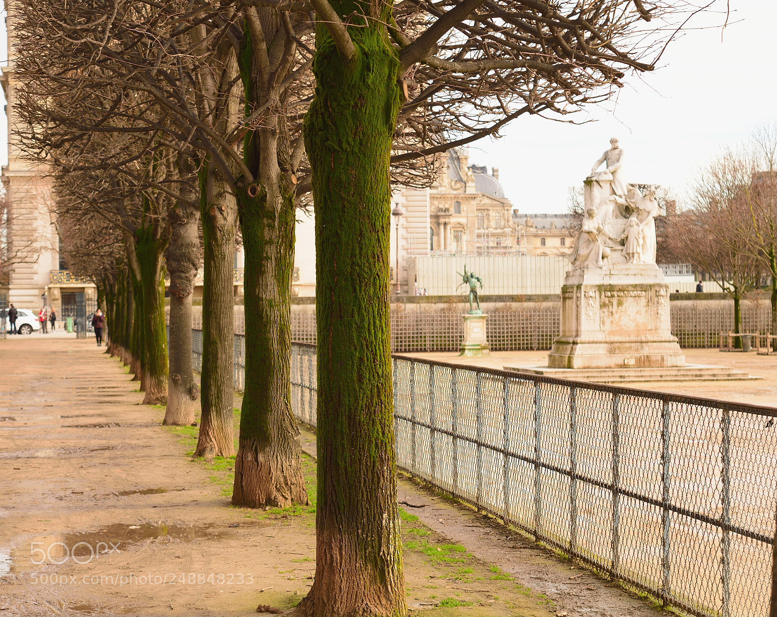 Nikon D3300 sample photo. Jardim des tulieries photography