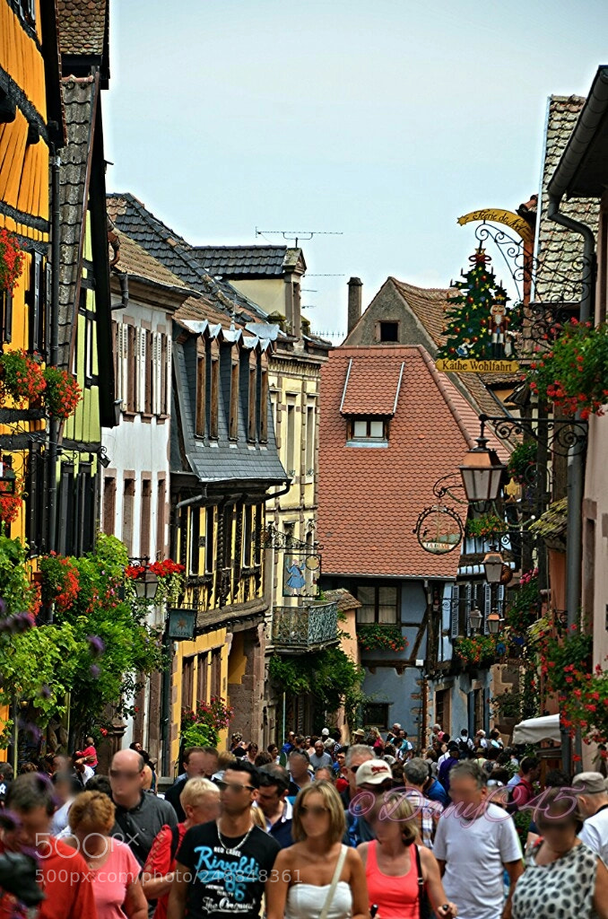 Nikon D5100 sample photo. Alsace (8) photography