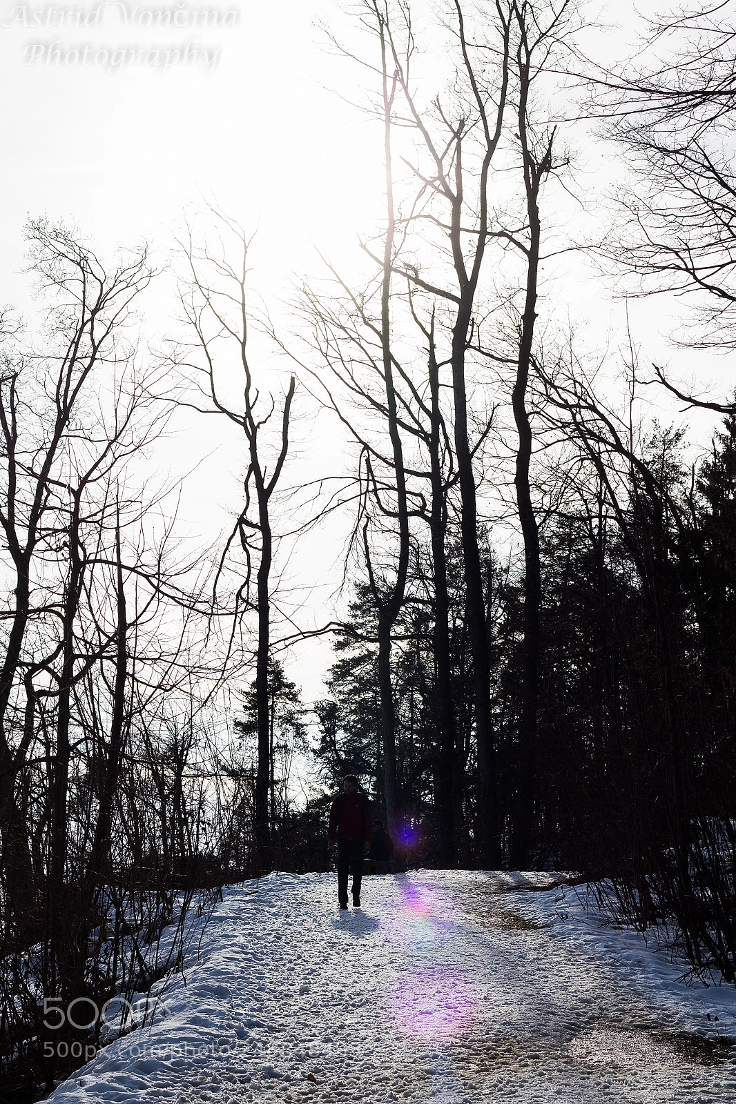 Canon EOS 650D (EOS Rebel T4i / EOS Kiss X6i) sample photo. Winter sunlight photography