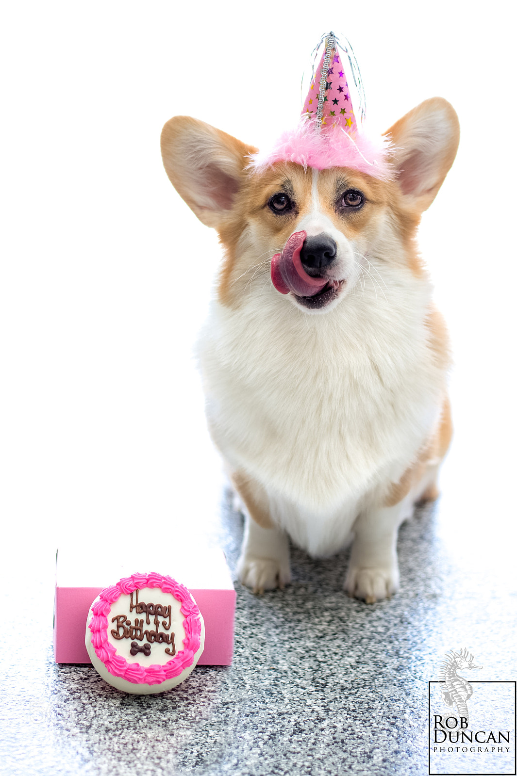 Nikon D4 sample photo. Leia's first birthday photography