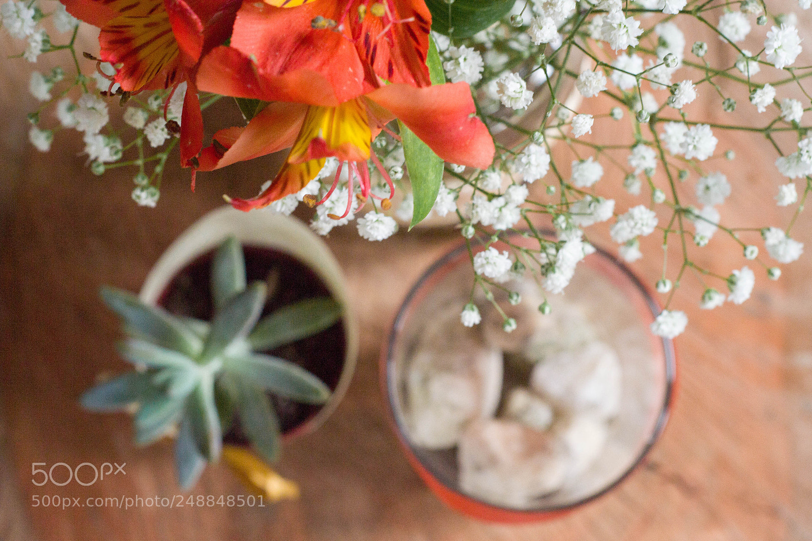 Nikon D3100 sample photo. Adorno photography