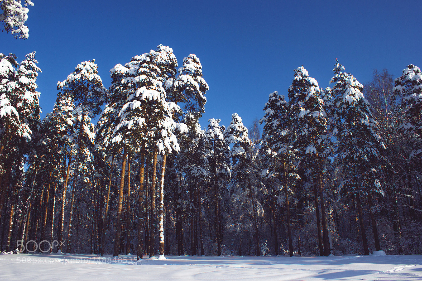 Canon EOS 550D (EOS Rebel T2i / EOS Kiss X4) sample photo. Beloozersky settlement photography