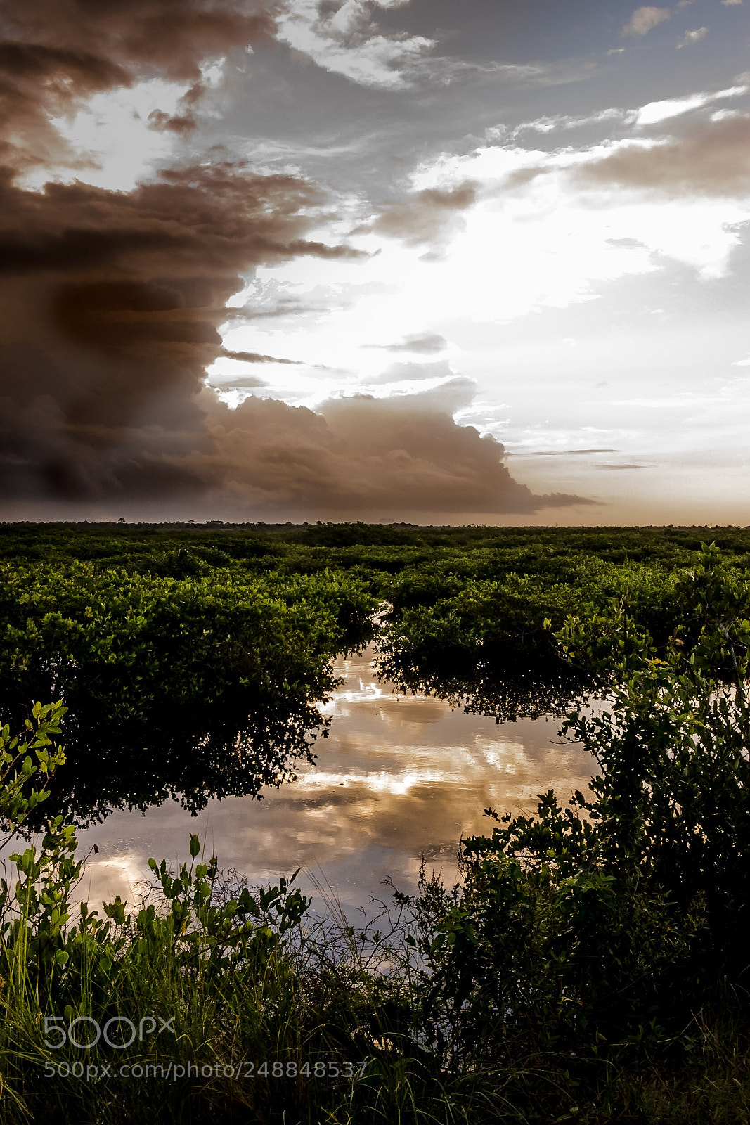 Nikon D5500 sample photo. Merritt island, florida photography