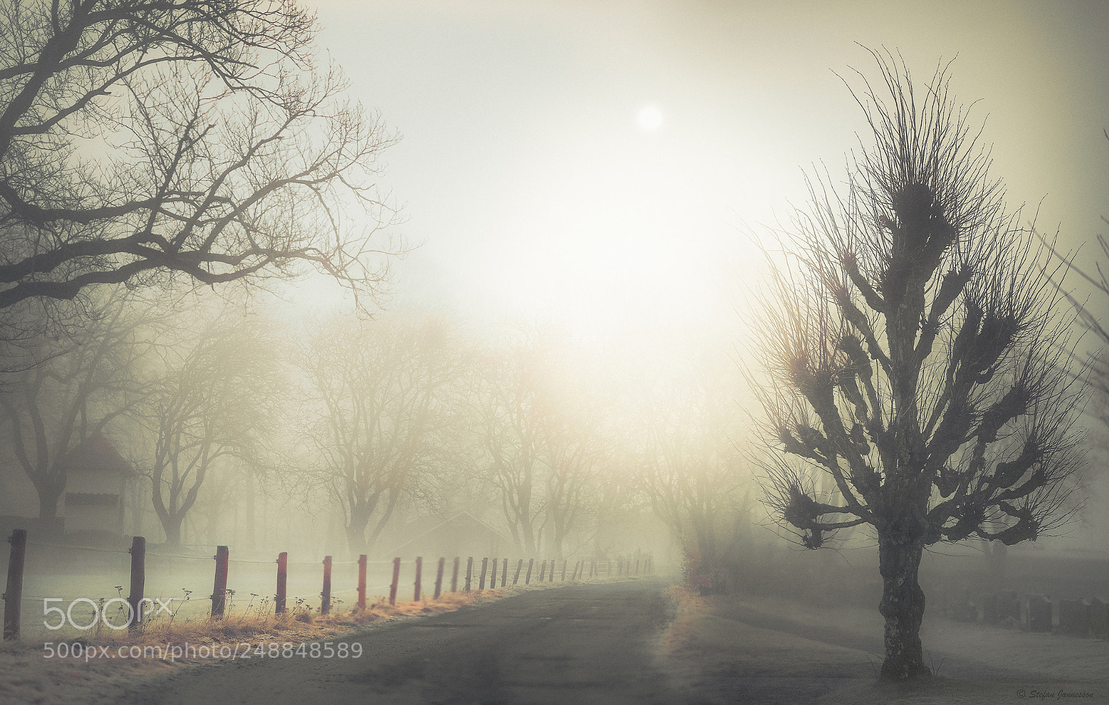 Canon EOS 5DS R sample photo. One way photography