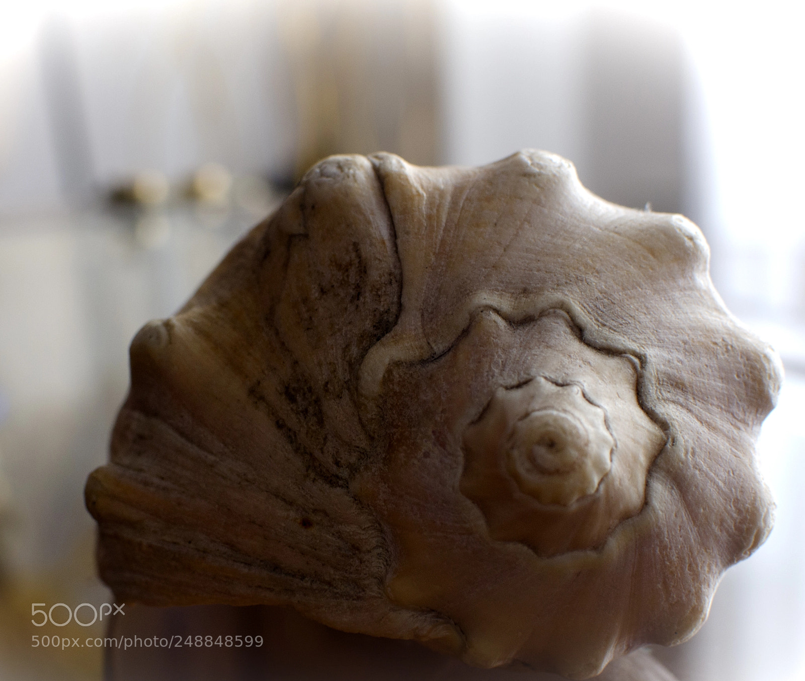 Nikon D7000 sample photo. Caracol photography