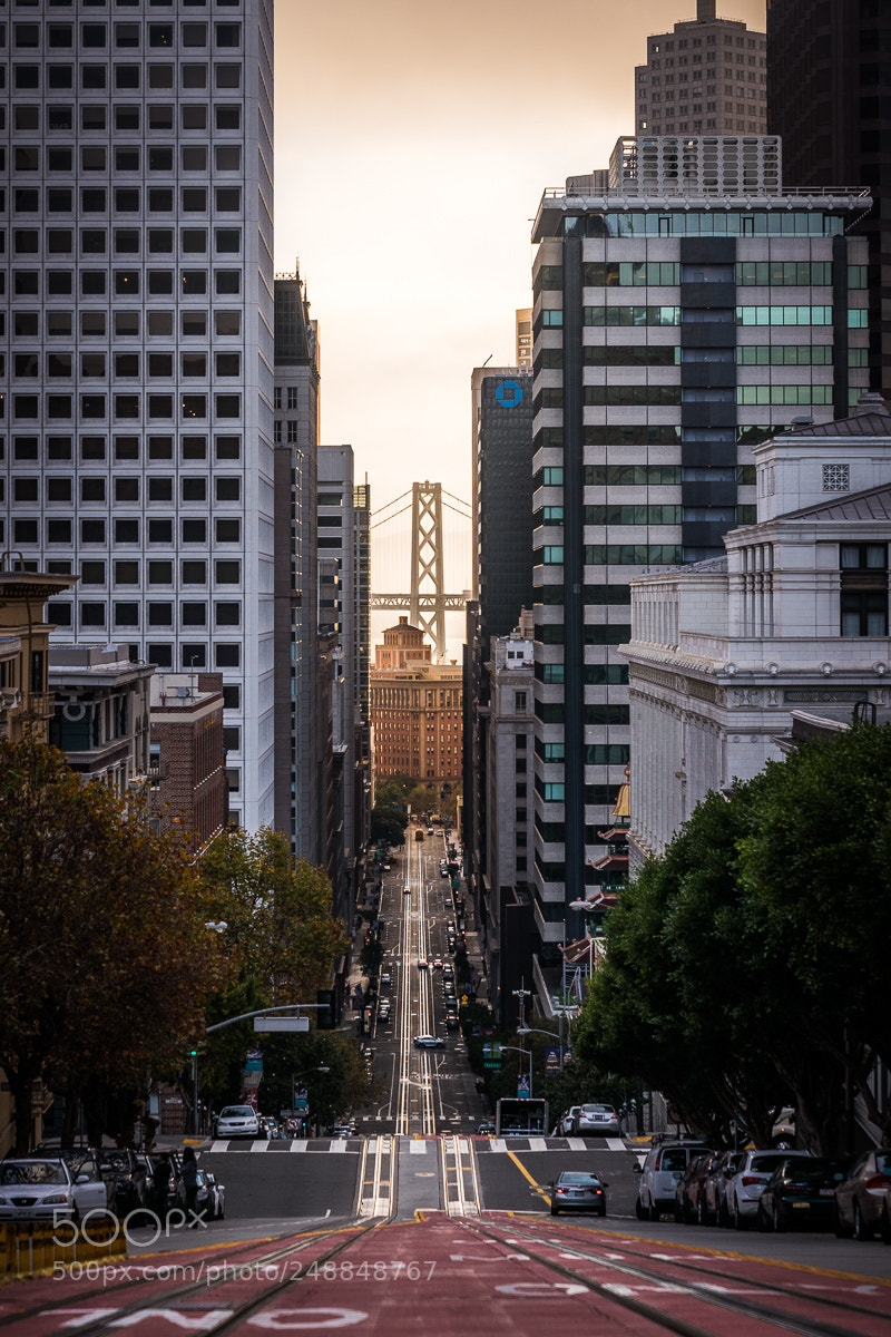 Sony a7R II sample photo. Golden sunrise over financial photography