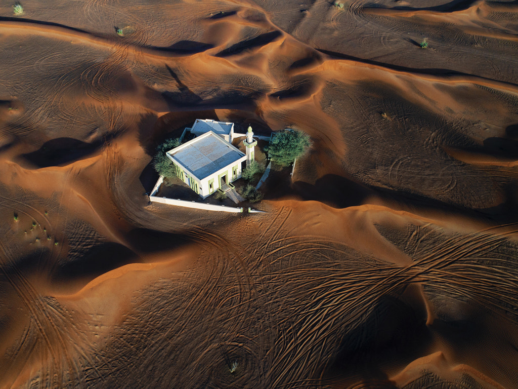 Alive by Souhayl BEN KHALED on 500px.com