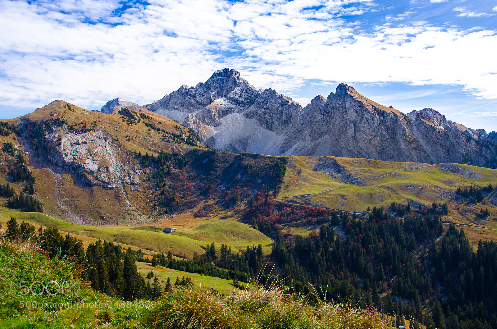 Nikon D5100 sample photo. Swiss alps photography