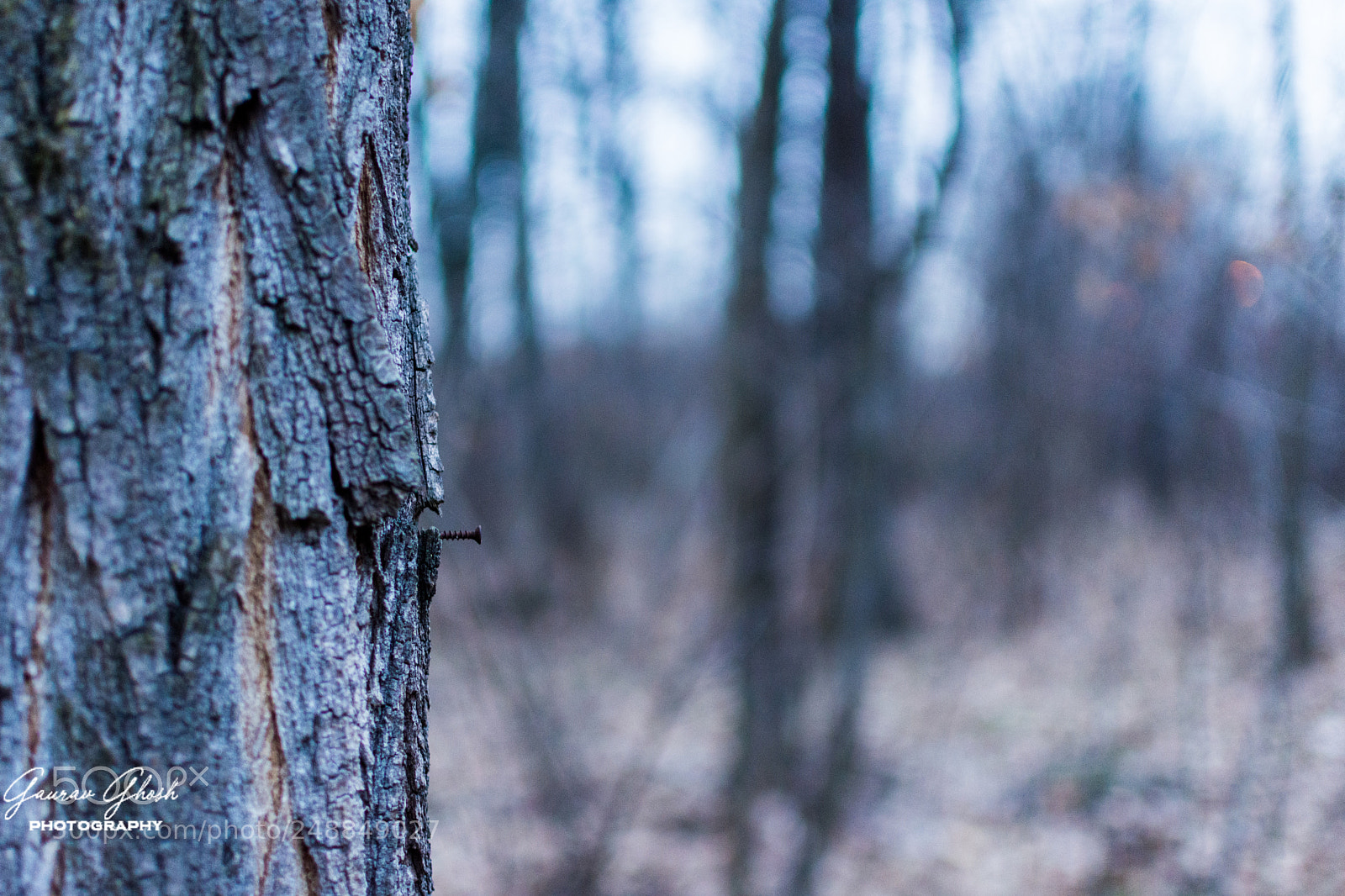 Nikon D7200 sample photo. Nailed it! photography