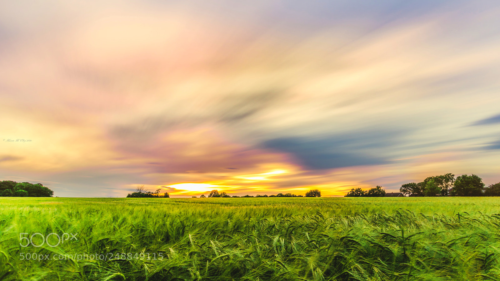Pentax K-3 sample photo. Field at sunset. photography