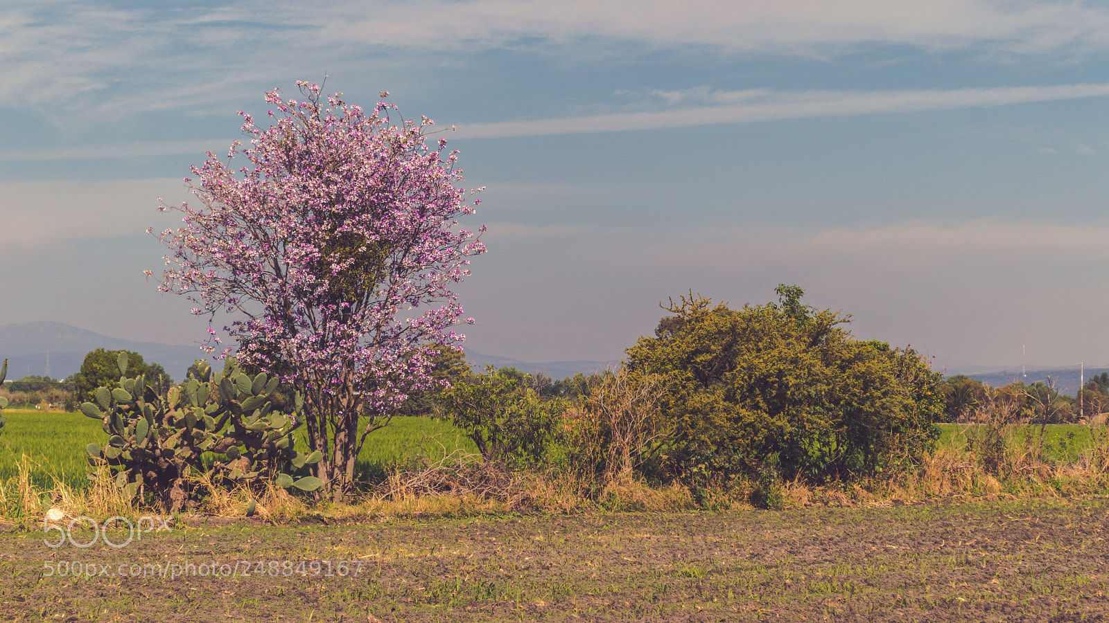 Nikon D3200 sample photo. Untitled photography