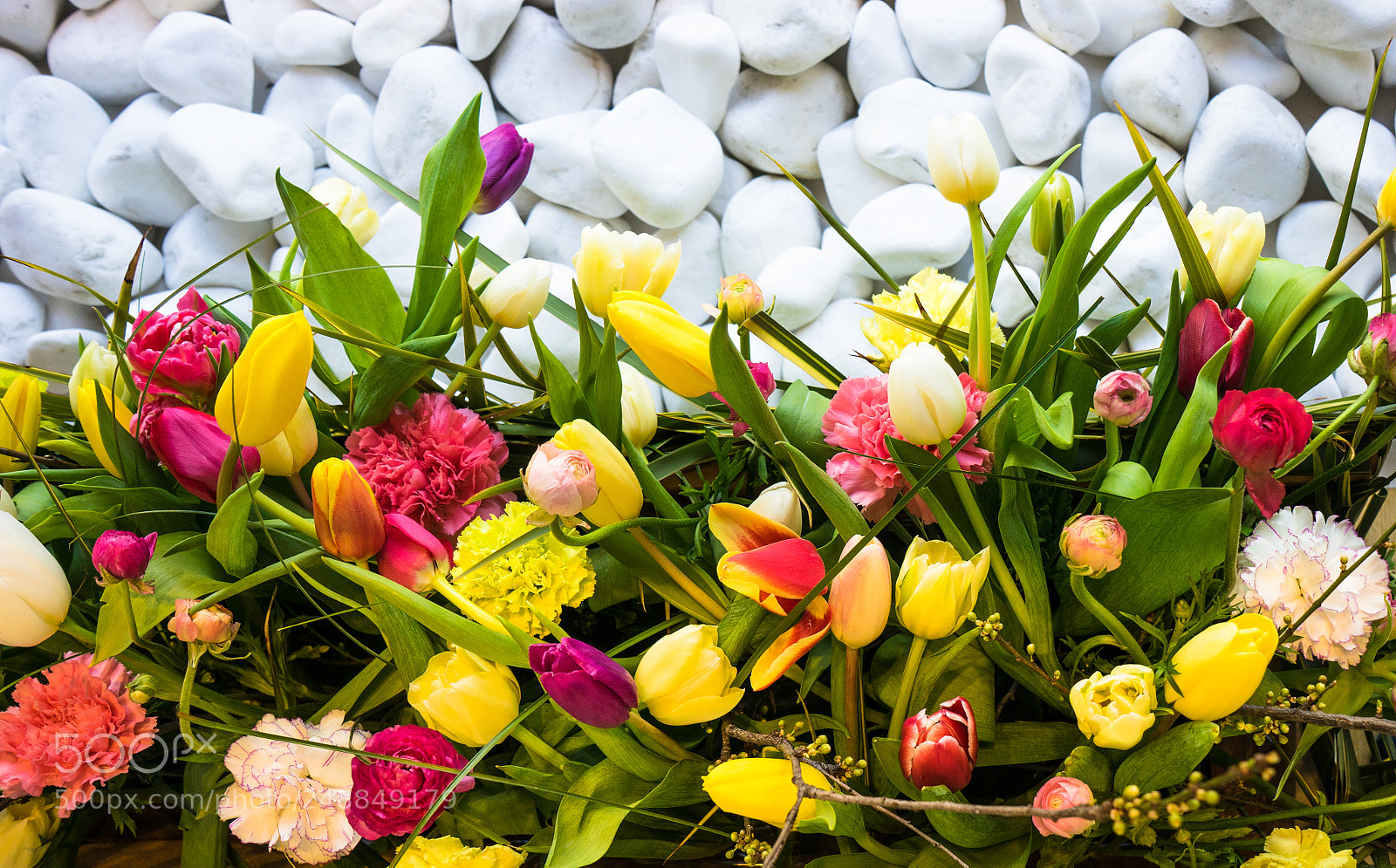 Sony a7 sample photo. Spring floral concept photography
