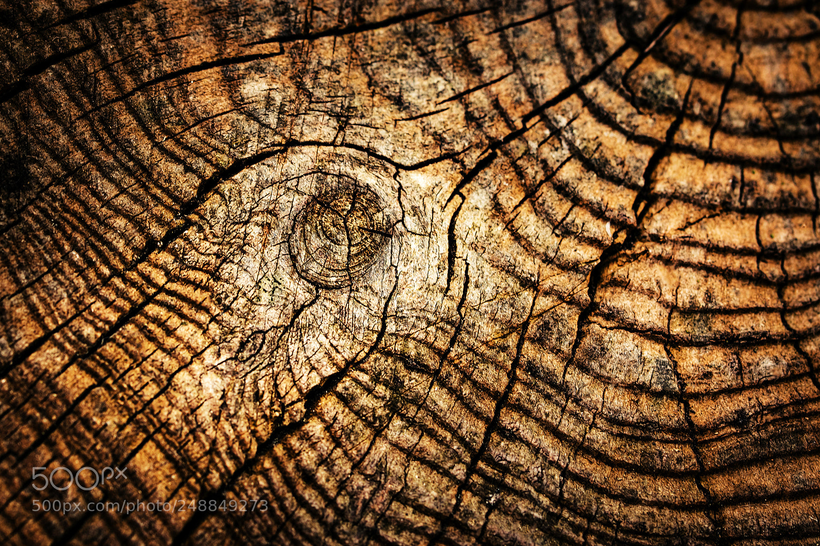 Nikon D5500 sample photo. Detail of an old photography