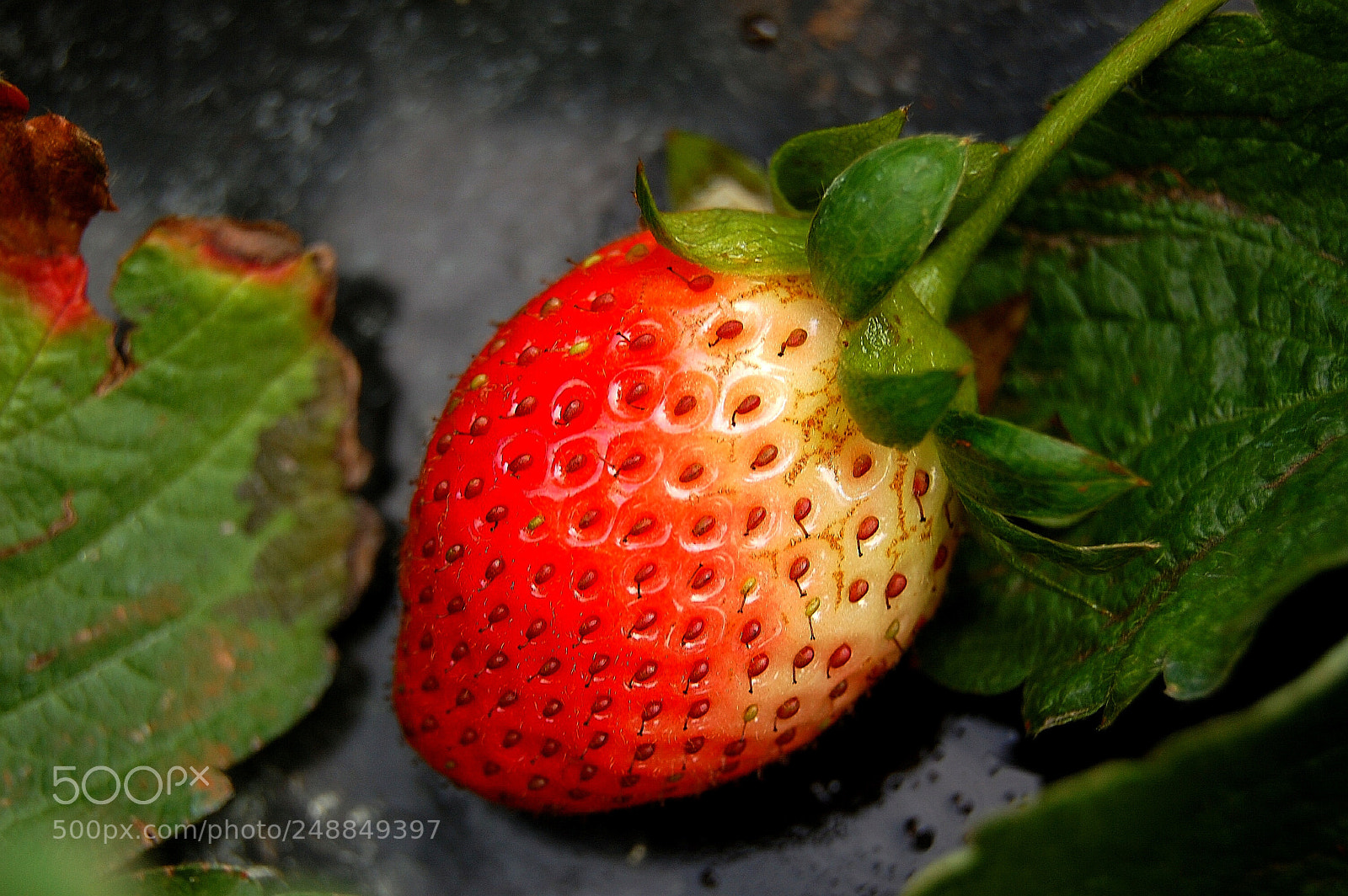 Nikon D40 sample photo. Untitled photography