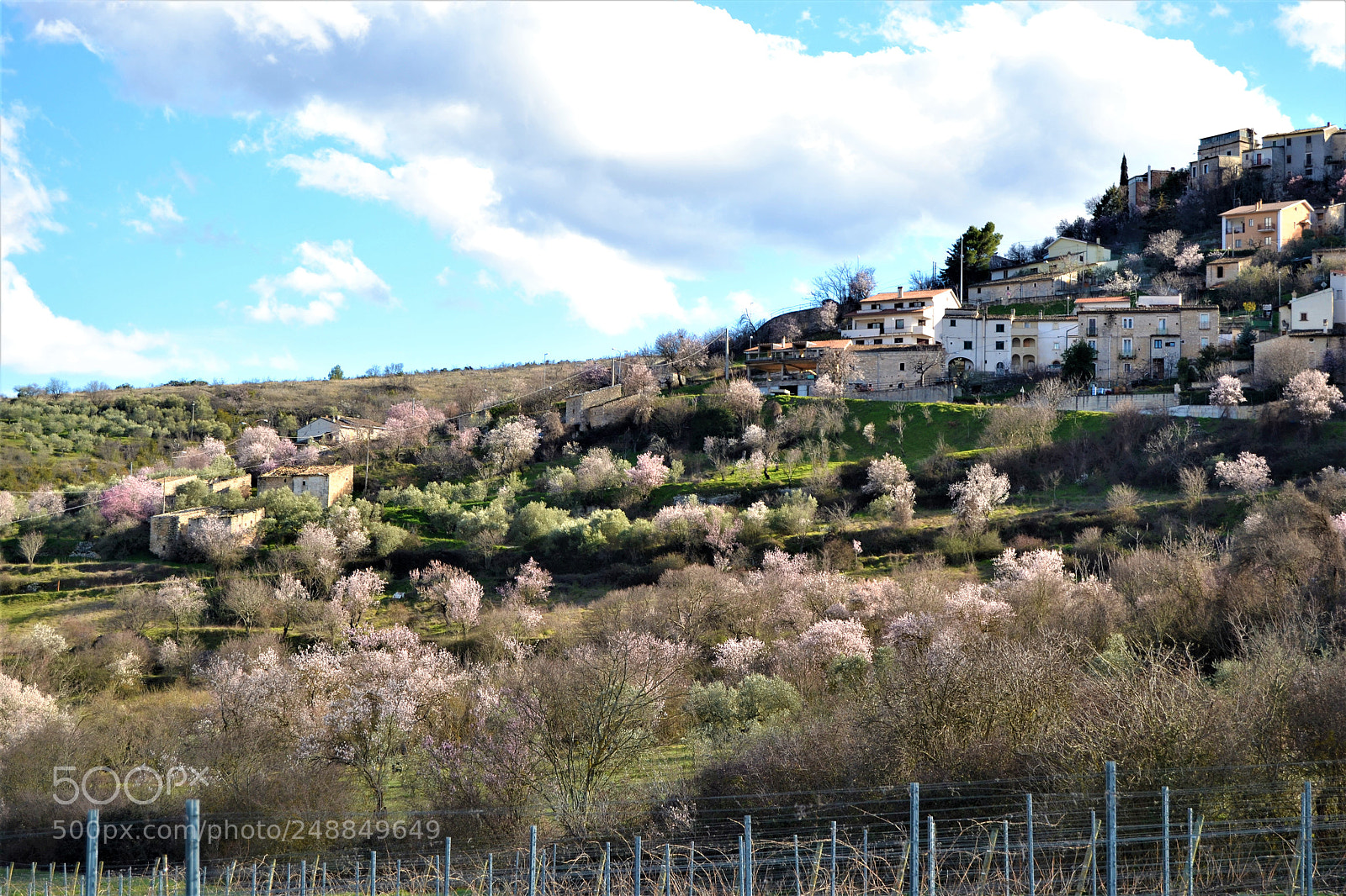 Nikon D3100 sample photo. Capestrano a primavera photography