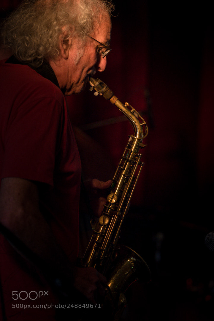 Nikon D800 sample photo. The saxophonist.. photography