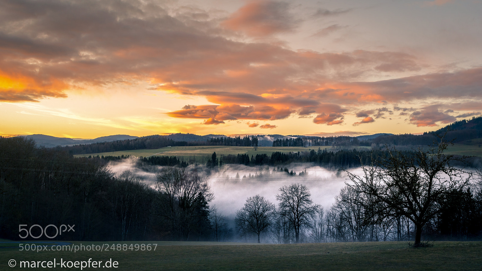 Nikon D5200 sample photo. Foggy spring sunset photography