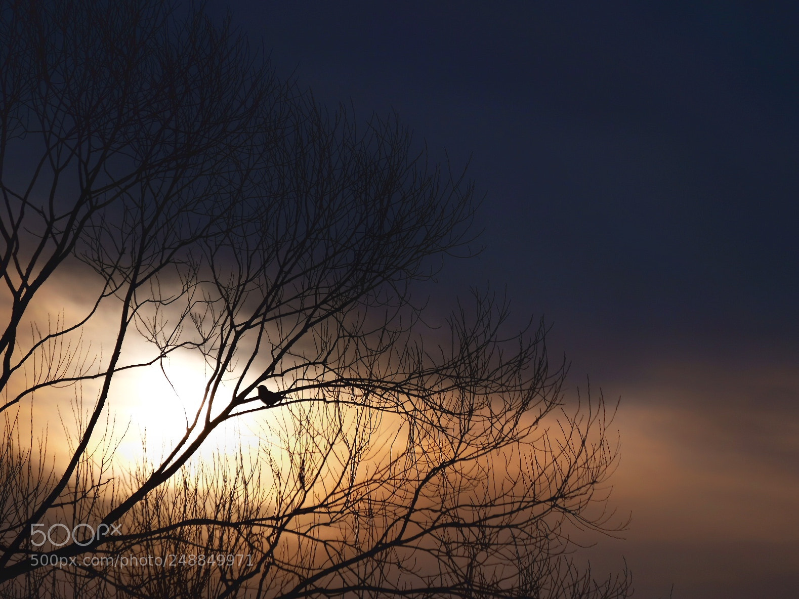 Fujifilm X-T20 sample photo. Spring is coming :) photography