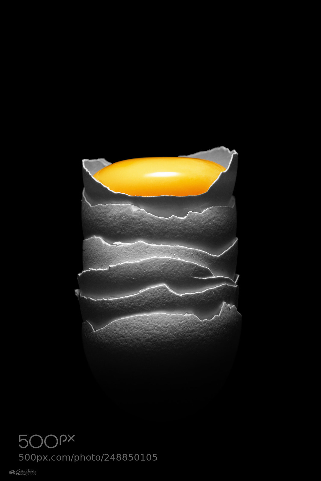 Sony a7R II sample photo. A raw egg photography