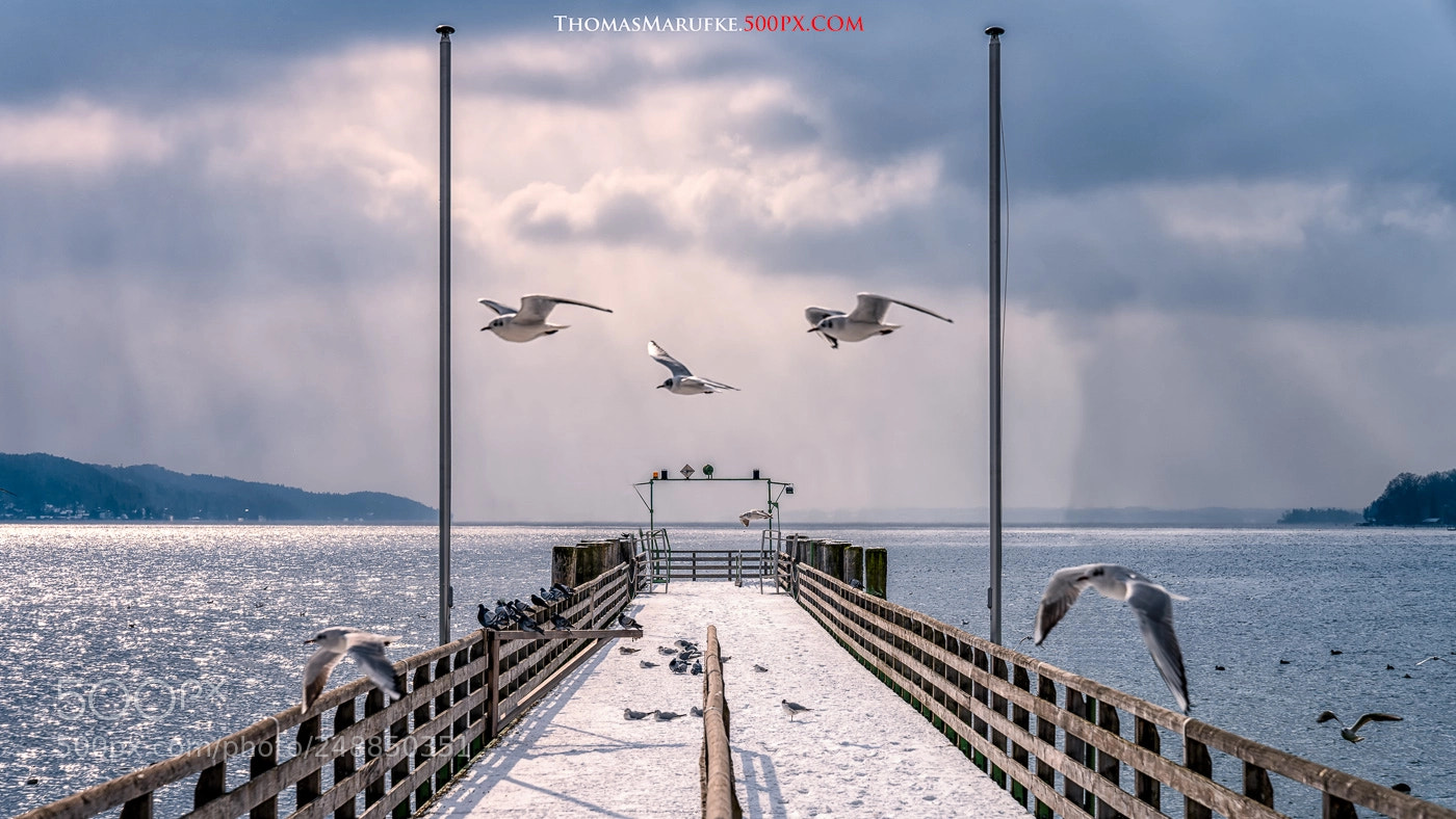 Sony a7R III sample photo. Winter at the lake photography