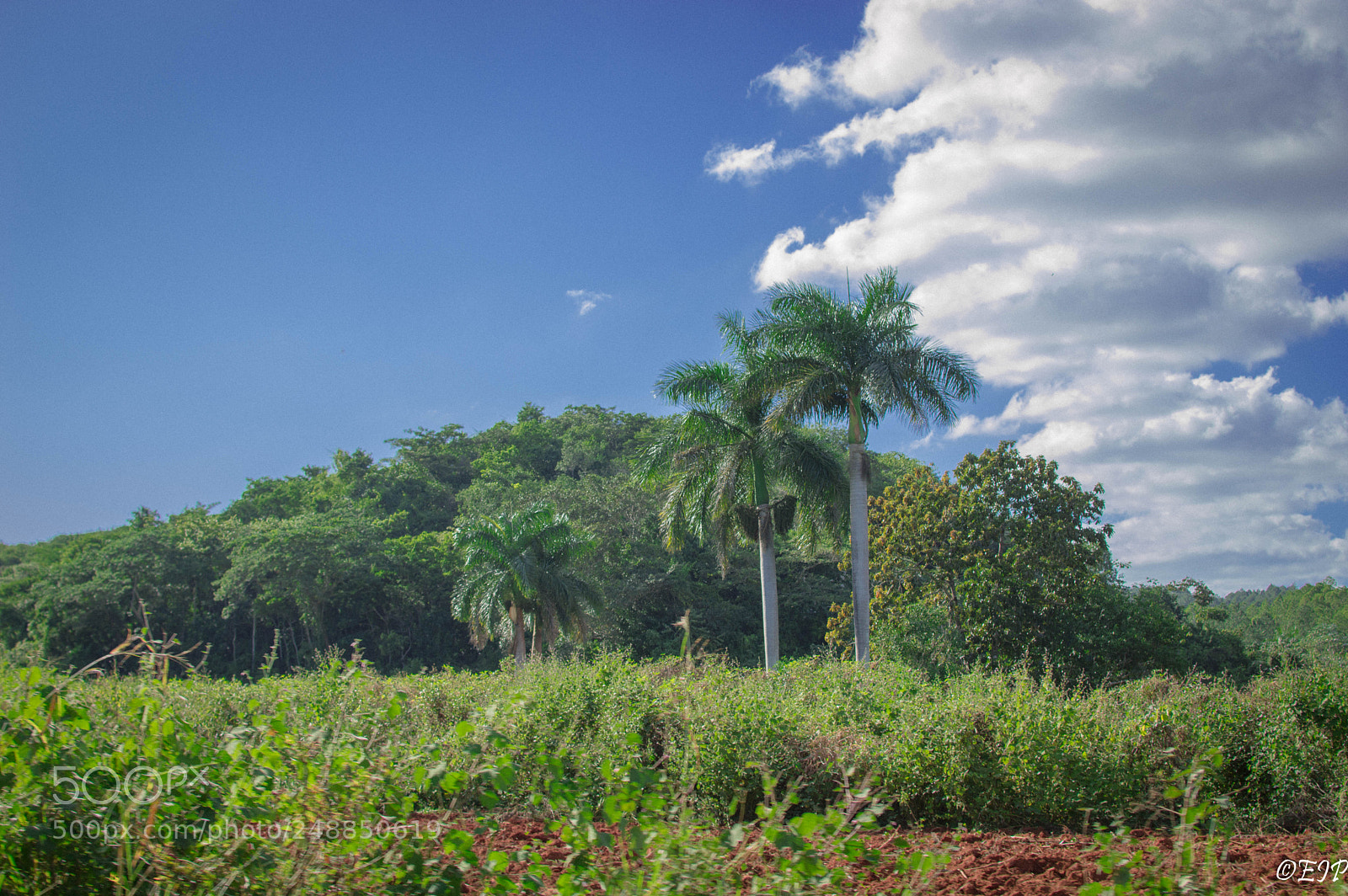 Nikon D3200 sample photo. Memory from cuban colors photography