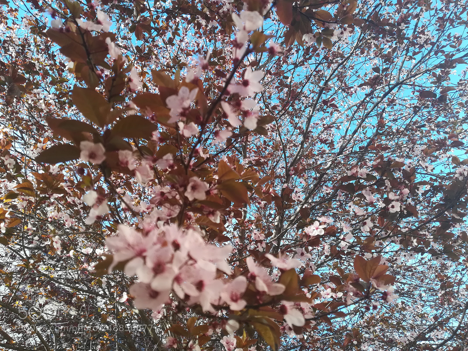 HUAWEI PRA-LX1 sample photo. Untitled photography