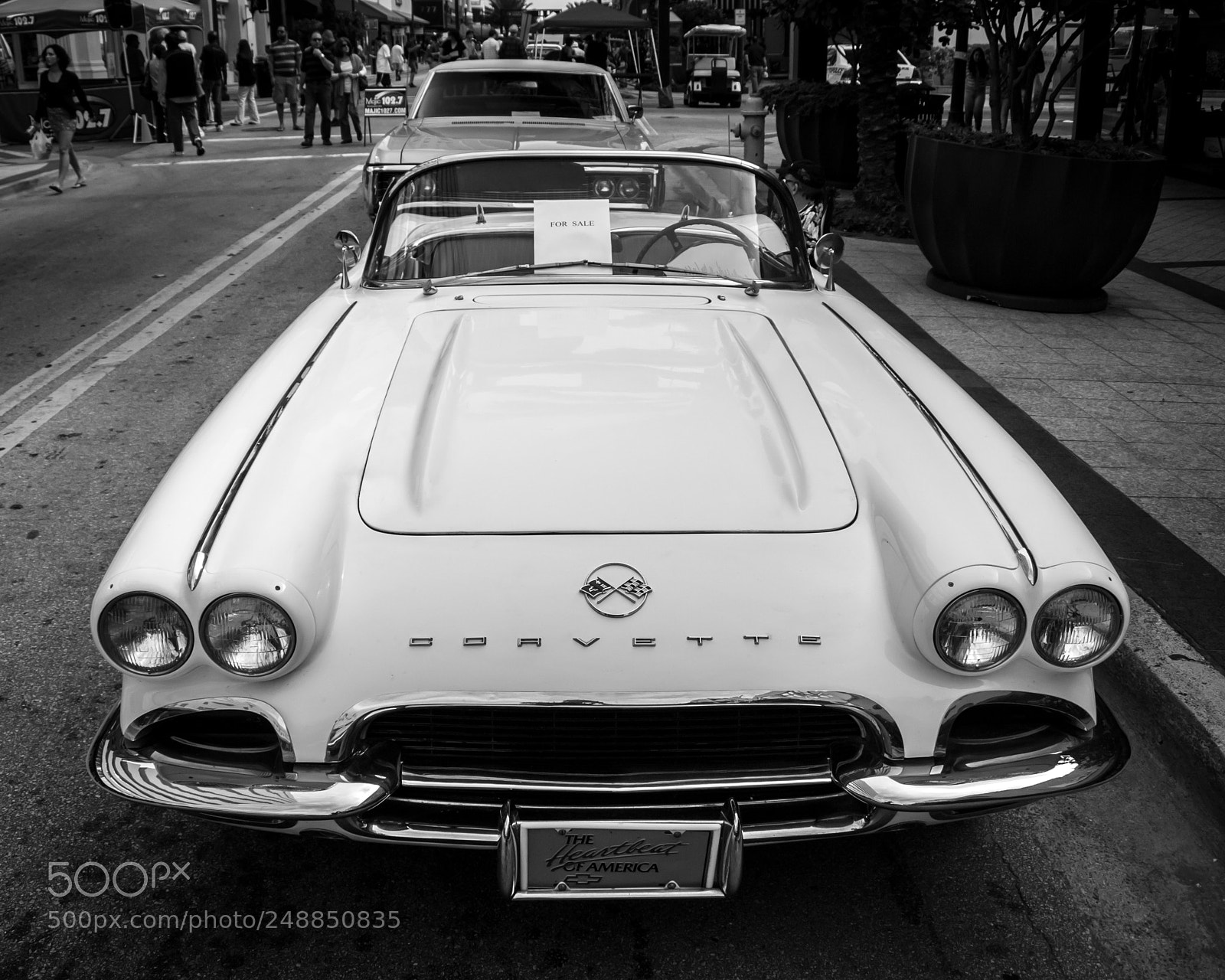 Olympus E-620 (EVOLT E-620) sample photo. 1962 corvette photography