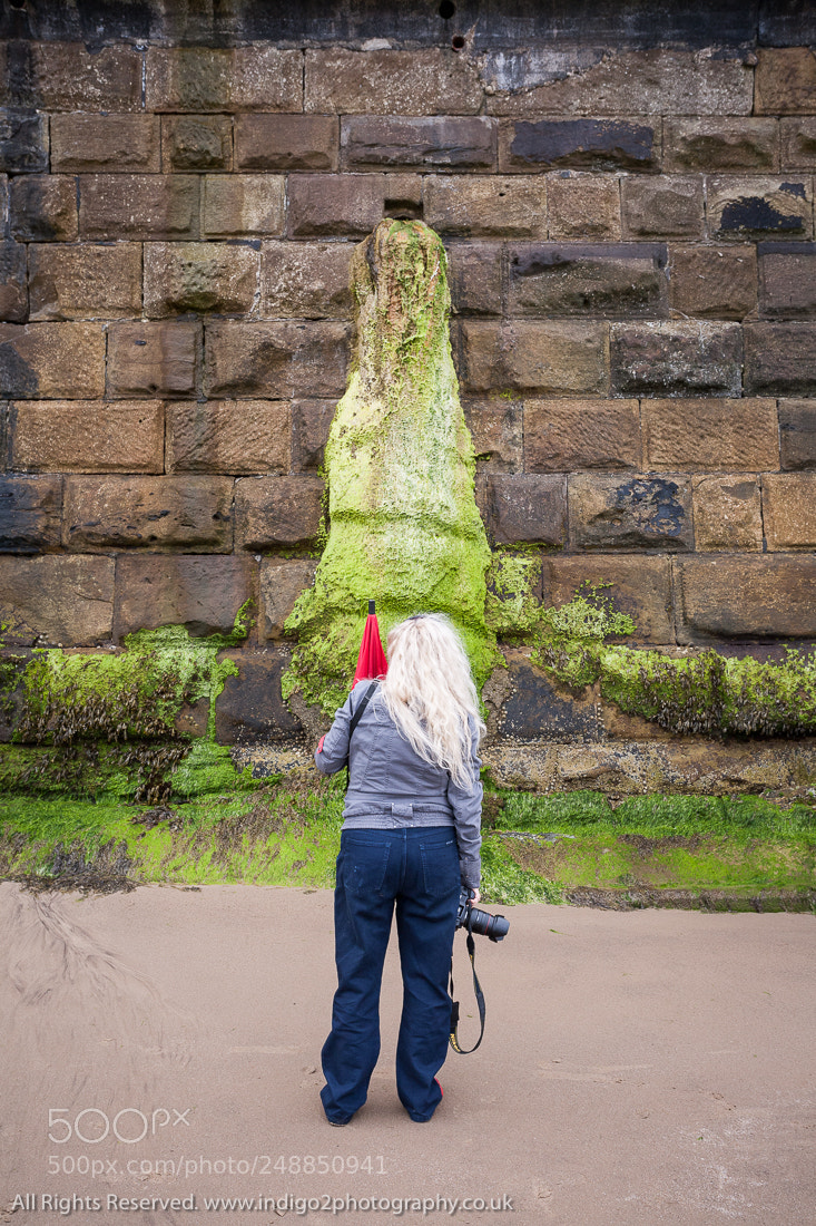 Canon EOS 5D sample photo. Accidental art photography