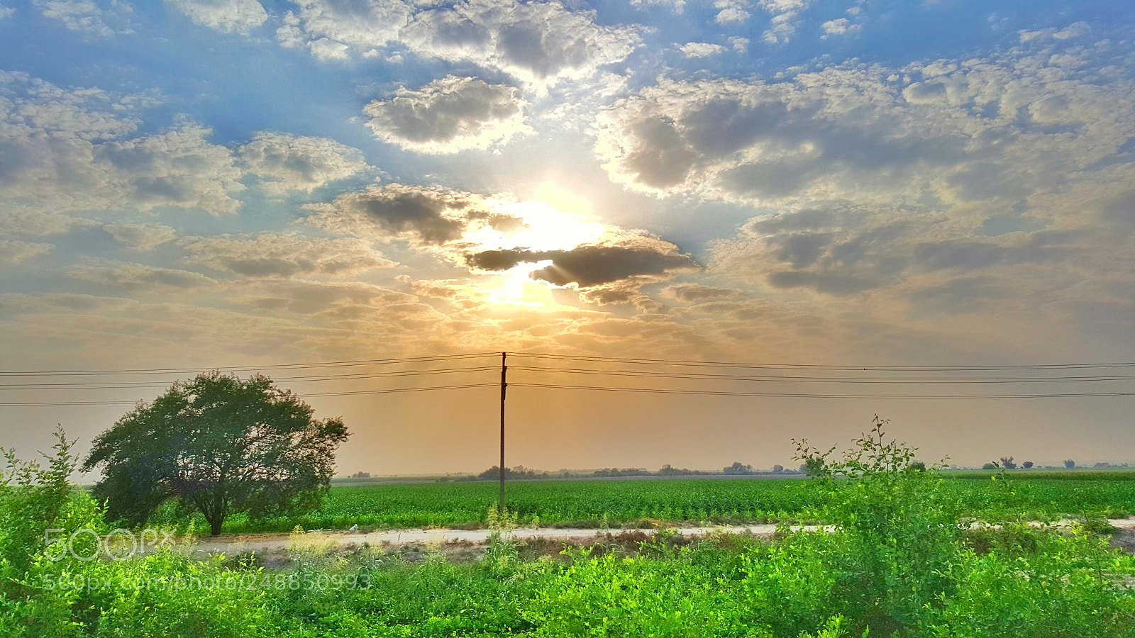 Samsung Galaxy Note5 sample photo. Untitled photography