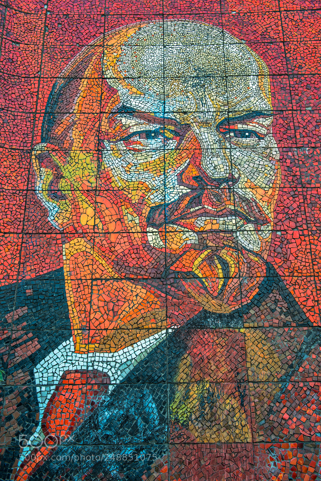 Nikon D800E sample photo. Mosaic portrait of vladimir photography
