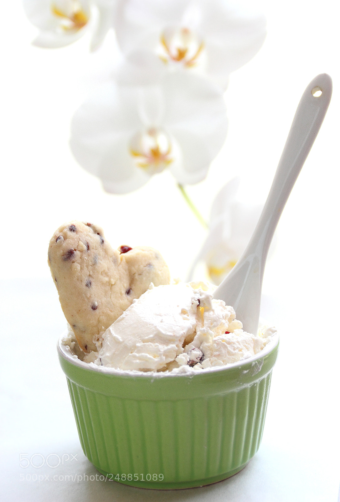 Canon EOS 600D (Rebel EOS T3i / EOS Kiss X5) sample photo. Homemade ice cream a photography