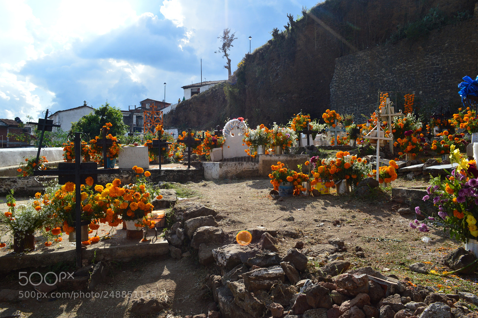 Nikon D3200 sample photo. Untitled photography