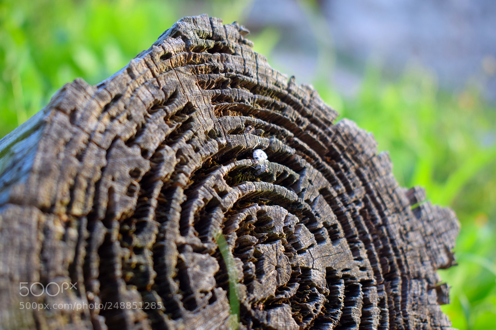 Nikon D3300 sample photo. Untitled photography