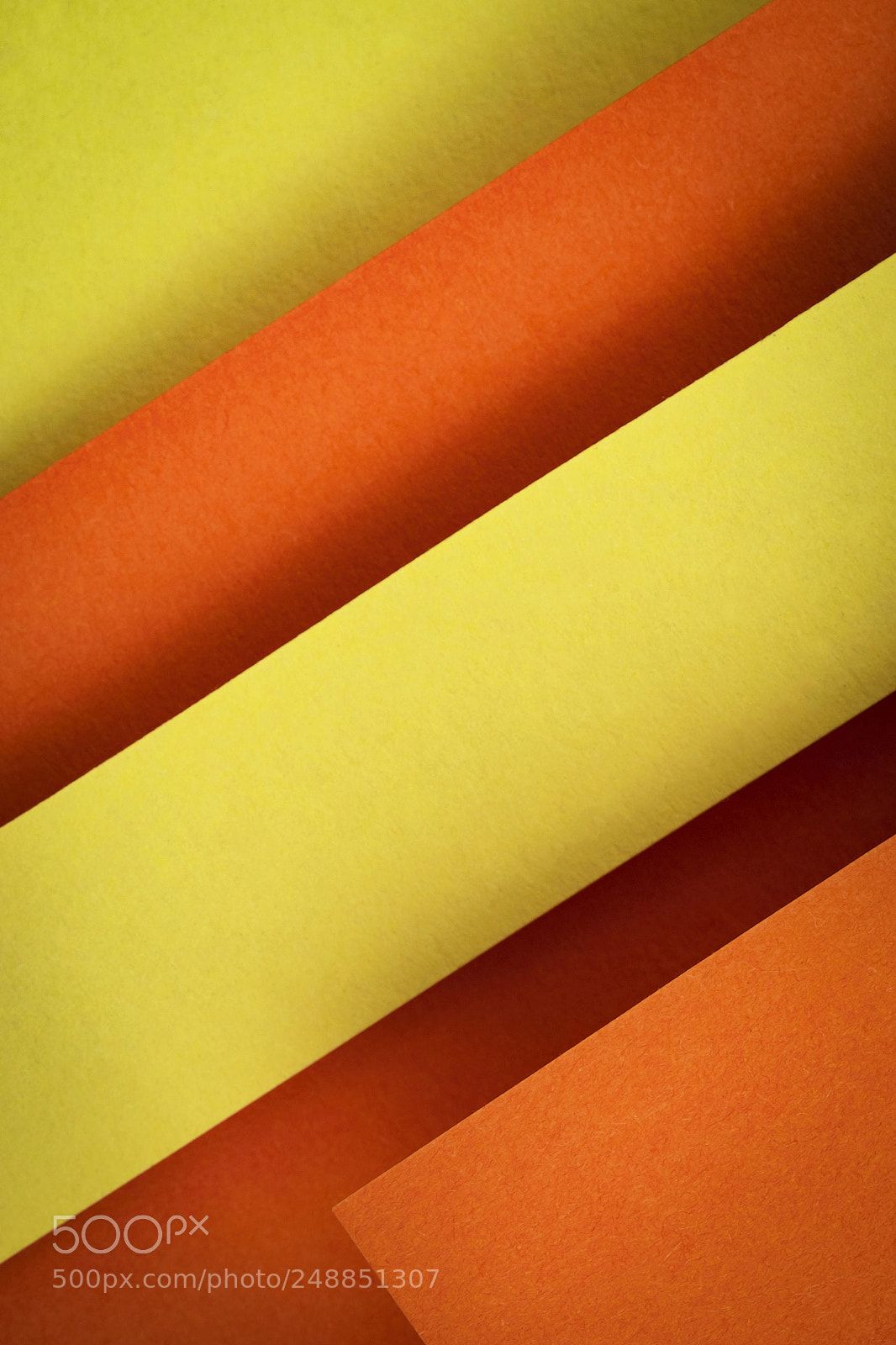 Nikon D5500 sample photo. Slant orange and yellow photography