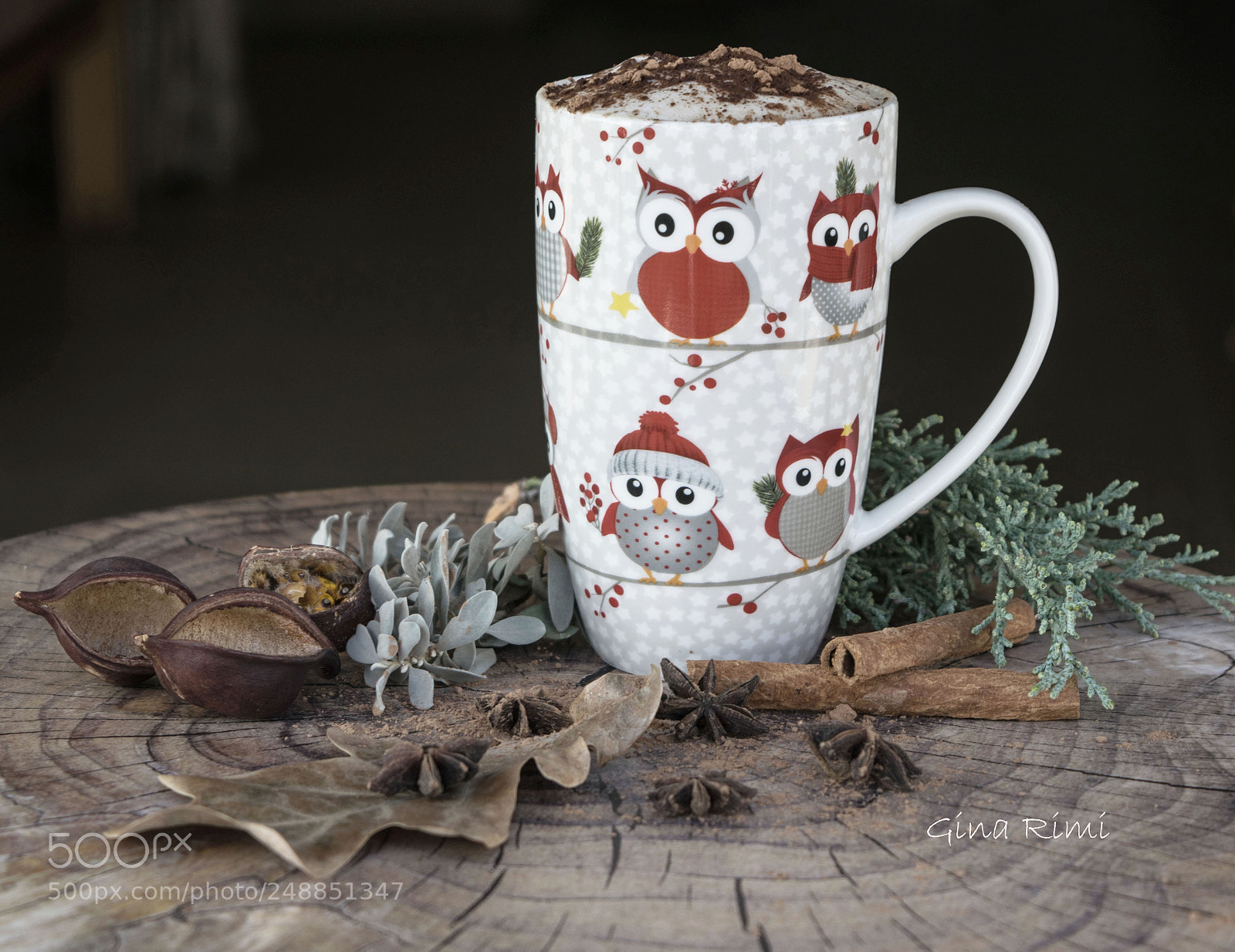 Nikon D3300 sample photo. A hot cocoa on photography