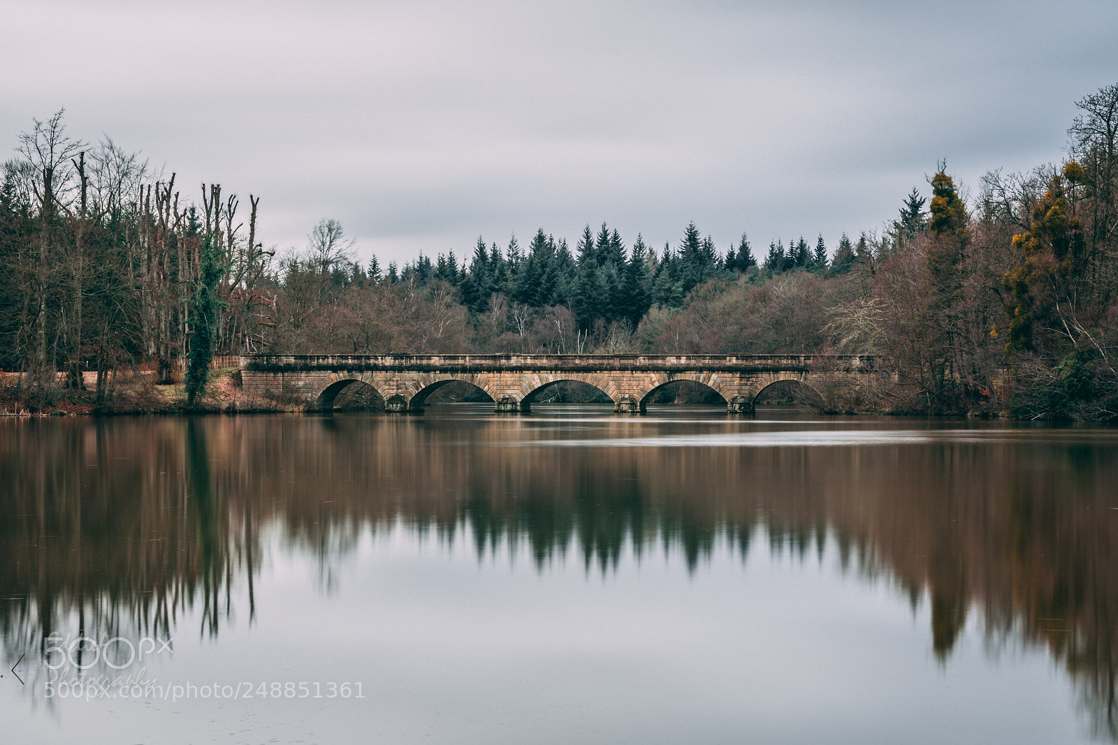 Nikon D7100 sample photo. Virginia water lake photography