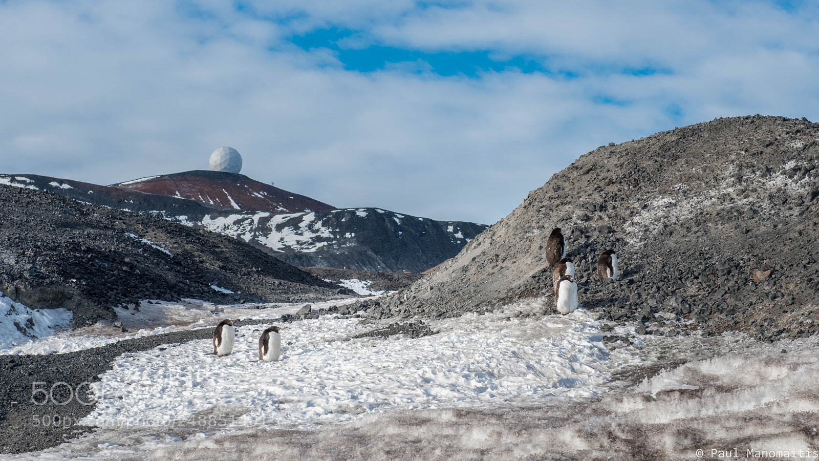 Nikon D800 sample photo. Mcmurdo, adelie penguins photography