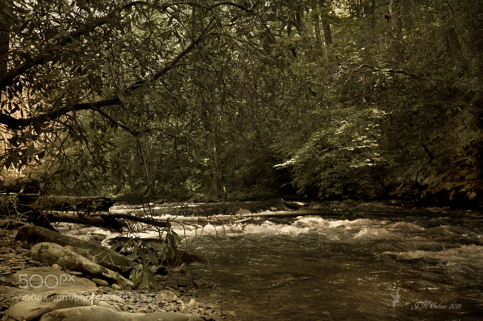 Canon EOS 700D (EOS Rebel T5i / EOS Kiss X7i) sample photo. In the nantahala national photography