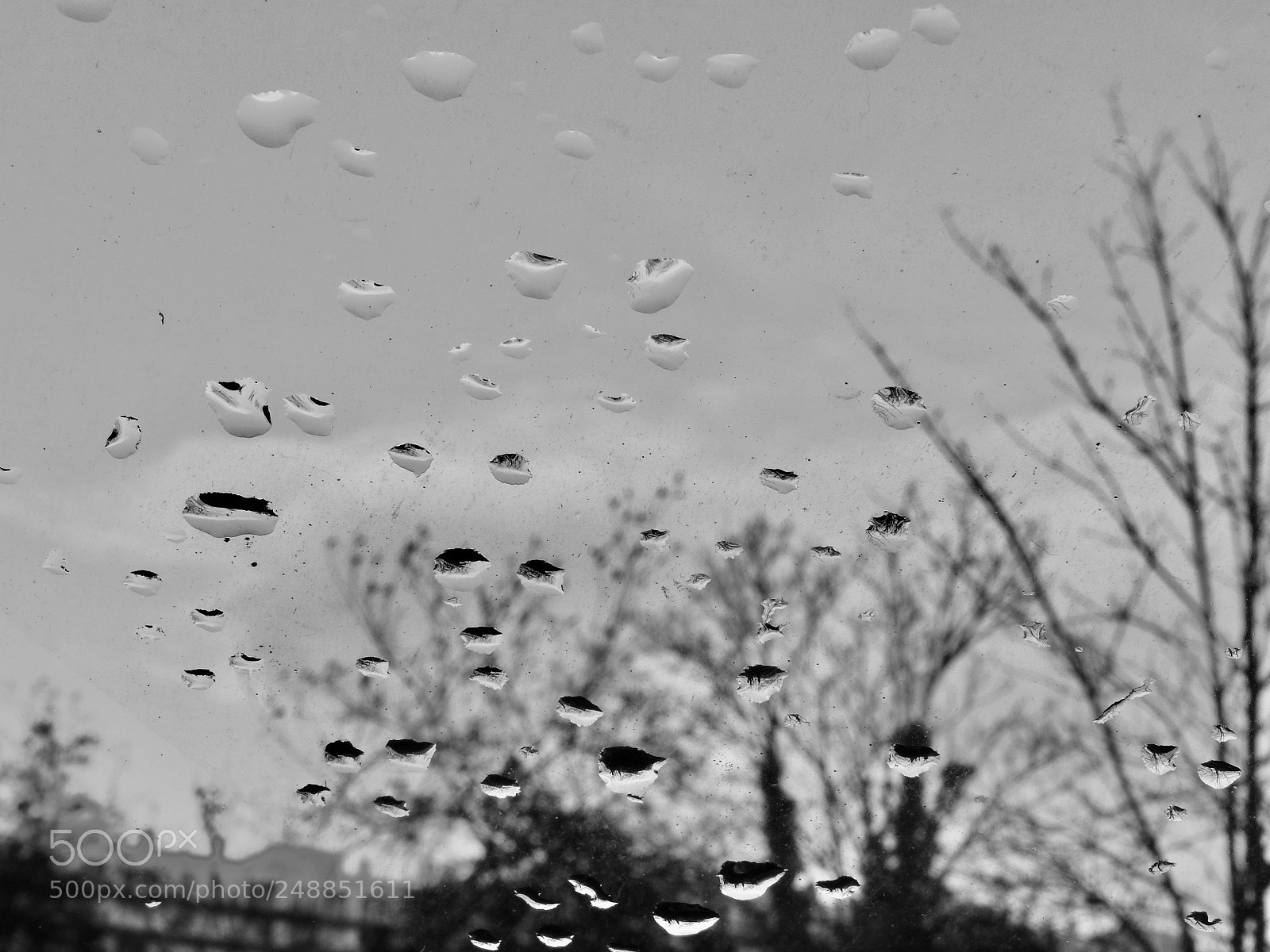 Nikon Coolpix P610 sample photo. Untitled photography
