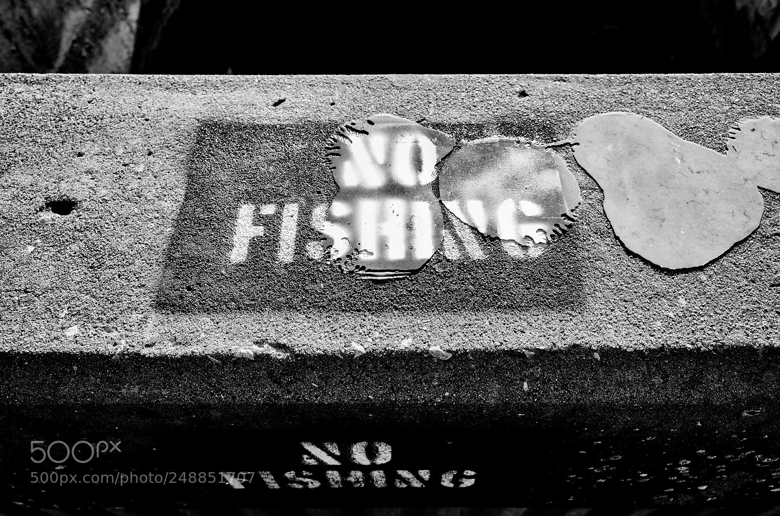 Nikon D7000 sample photo. No kidding photography