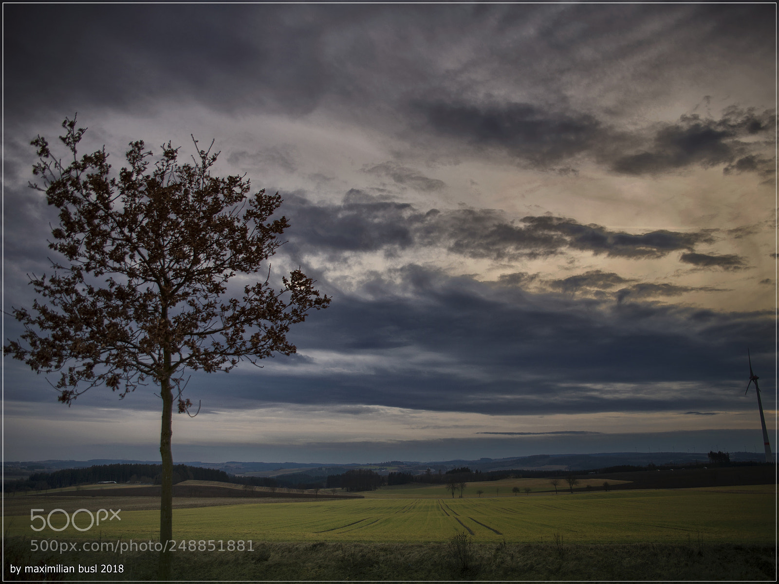 Nikon D850 sample photo. Trilogy of trees (iii) photography