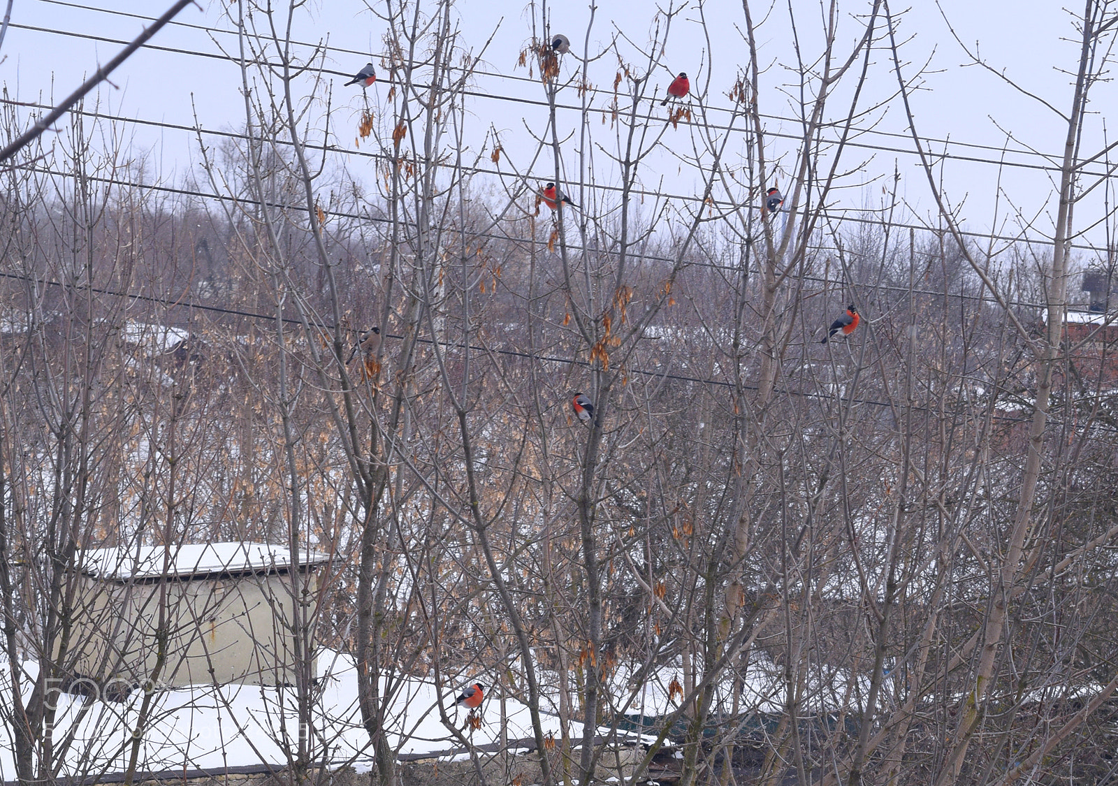 Nikon D3300 sample photo. + photography