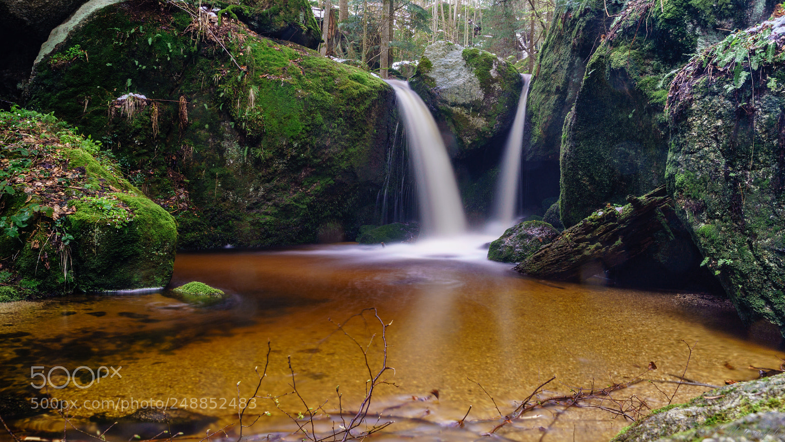 Sony a7 II sample photo. Ysperklamm photography
