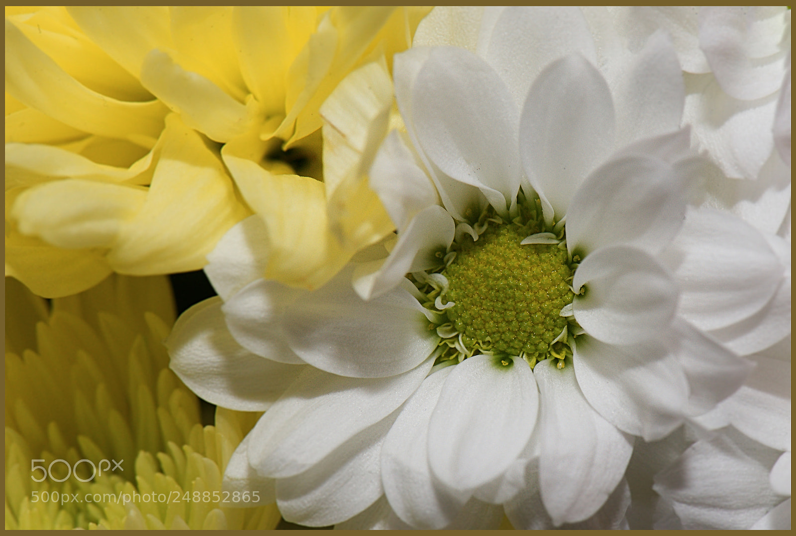 Nikon D610 sample photo. Untitled photography