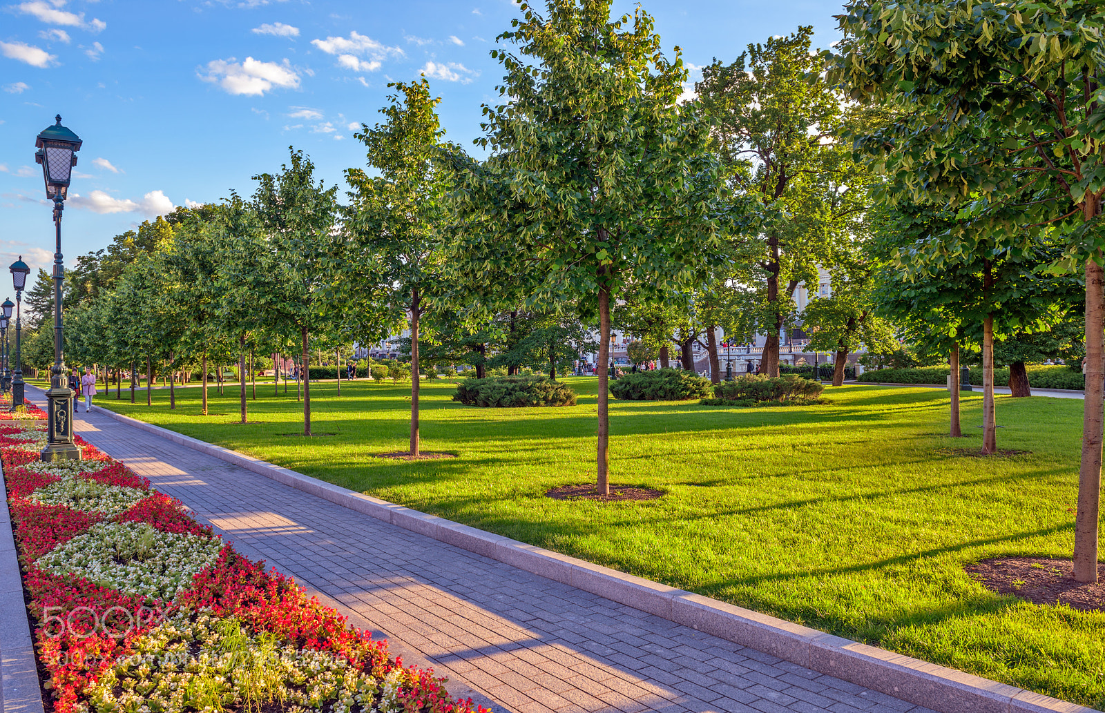 Nikon D800E sample photo. Alexander garden in the photography