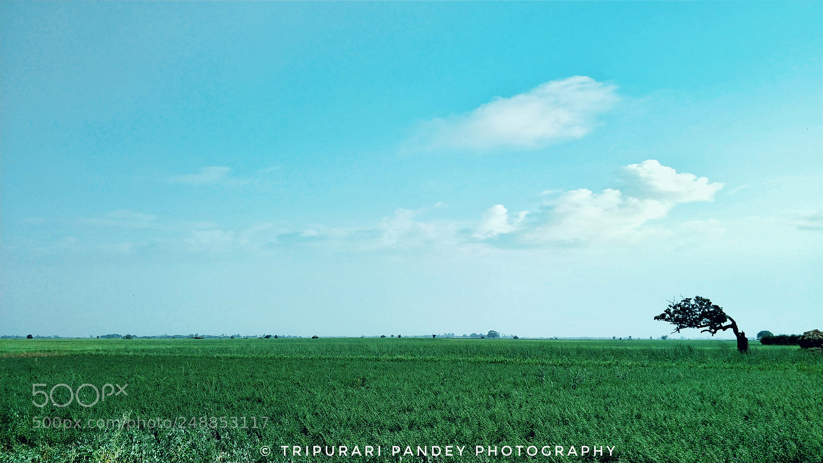 OnePlus 5 sample photo. Untitled photography